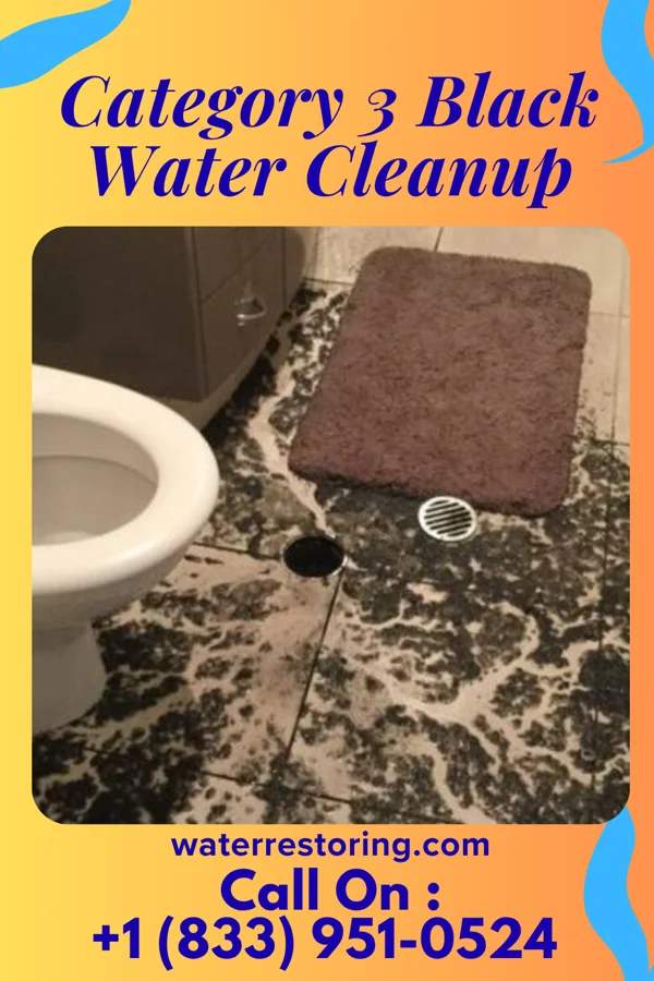 Category 3 Black Water Cleanup in La Center, WA