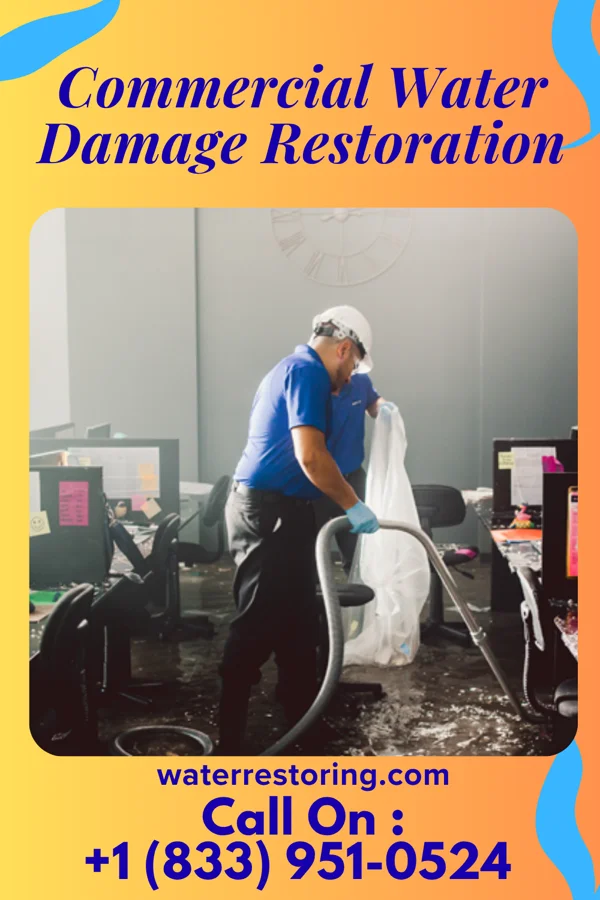 Commercial Water Damage Restoration in La Center, WA