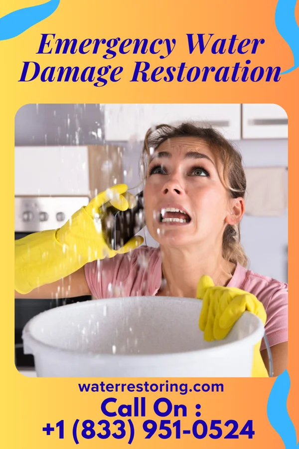 Emergency Water Damage Restoration in La Center, WA