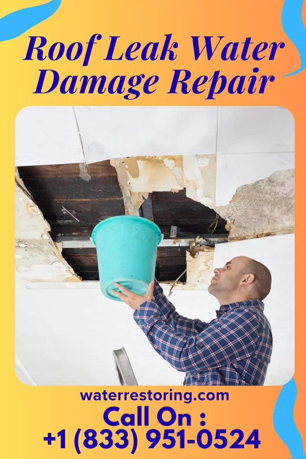 Roof Leak Water Damage Repair in La Center, WA